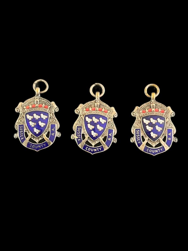 3 X SUSSEX COUNTY RA MEDAL IN SILVER