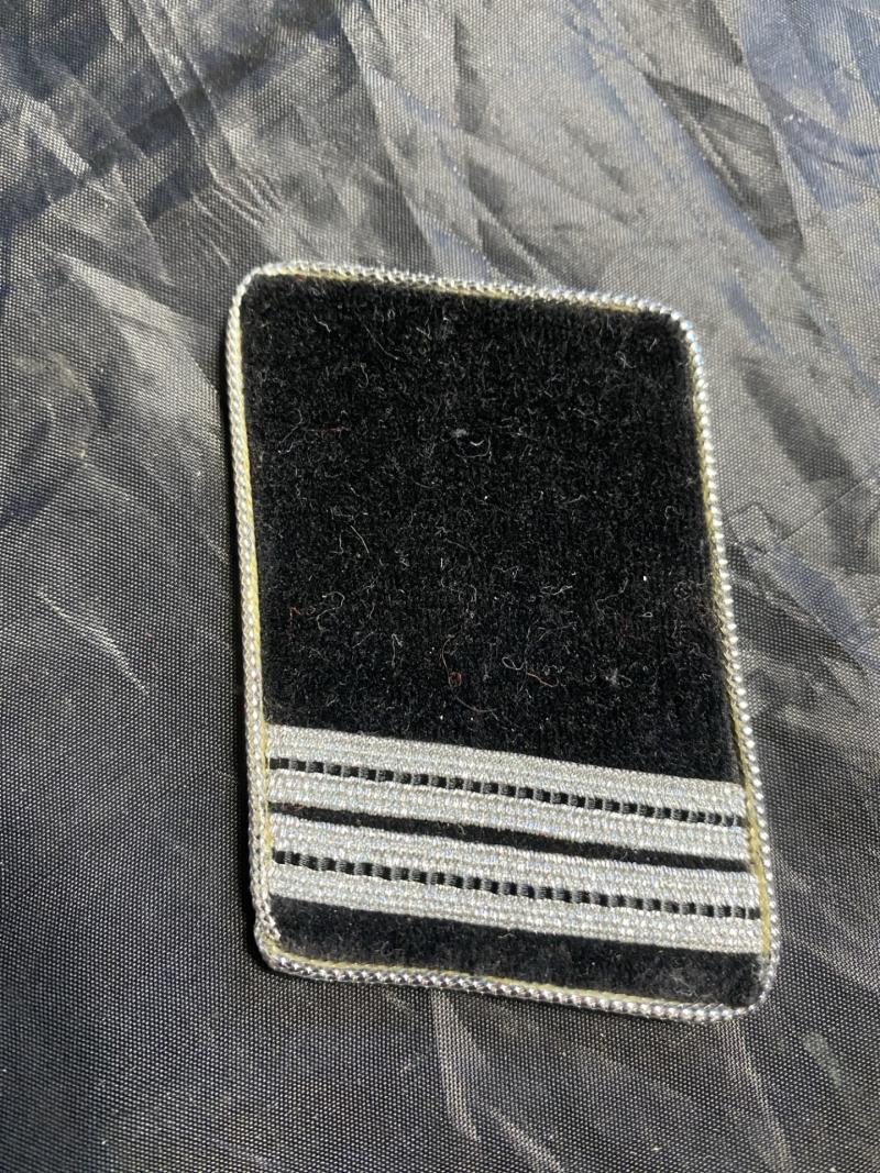 REPRODUCTION WW2 GERMAN SS COLLAR TAB