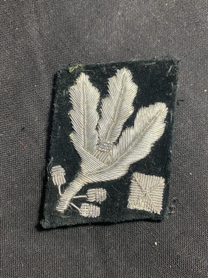 WW2 GERMAN SS OBERGRUPPENFRUHRER COLLAR PATCH