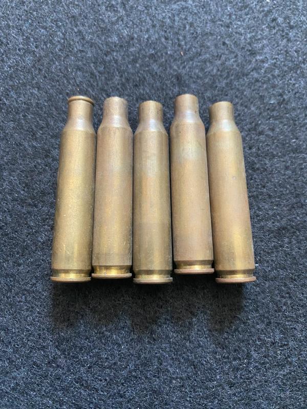 5 X 5.56/.223 INERT CASES