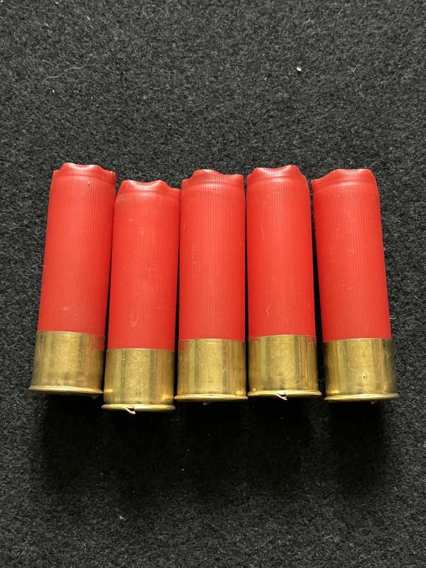 10G SHOT GUN SHELL CASE (INERT)