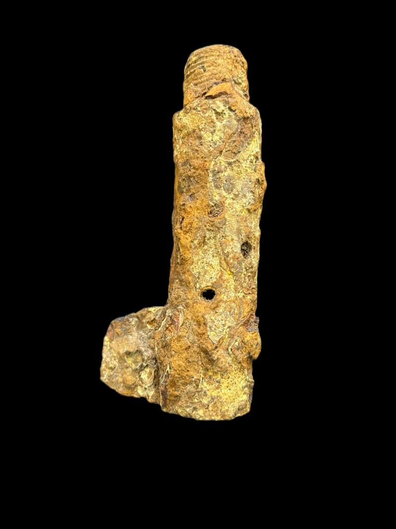 RELIC FOUND IN LATVIA